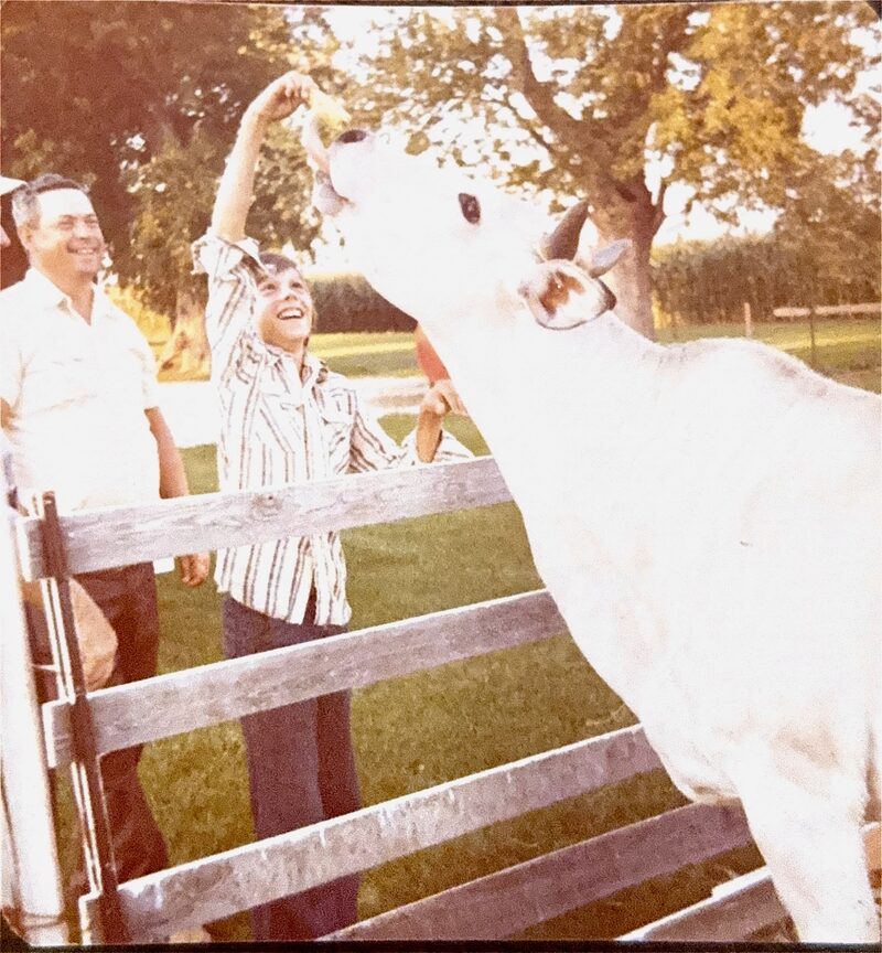 Family and cattle at Fisher Farms