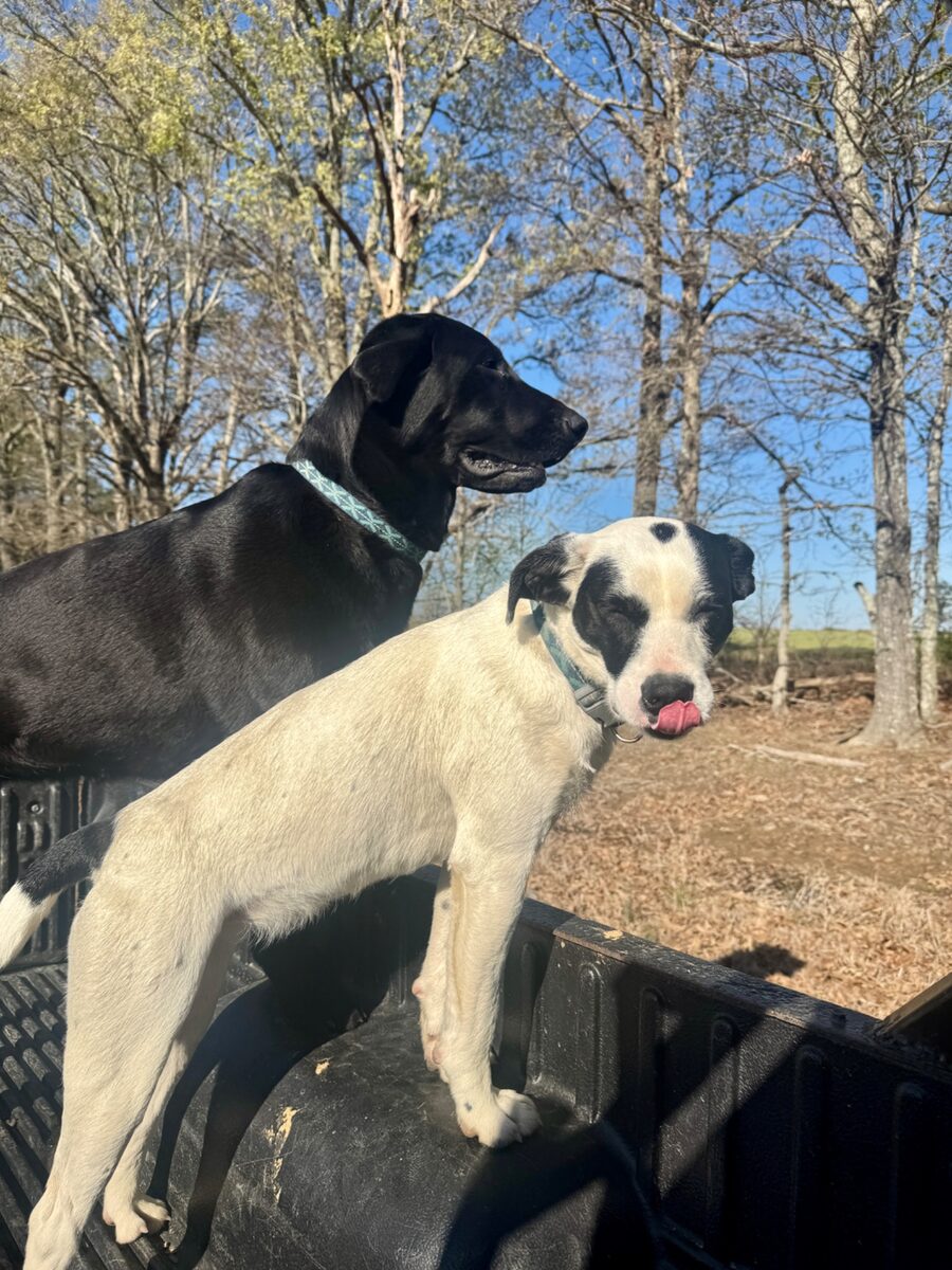 Penny and friend supervising the build