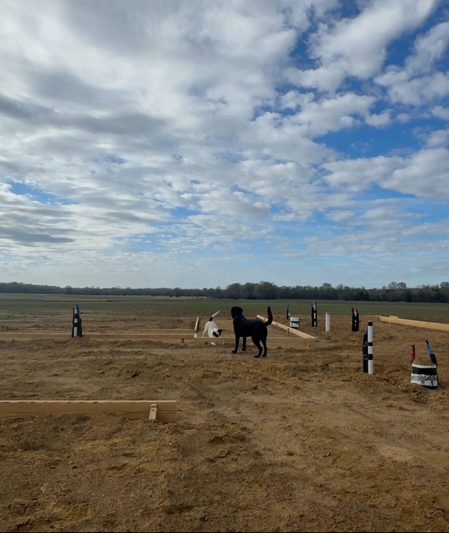 Penny and friend inspecting the foundation at Camp Kudzu
