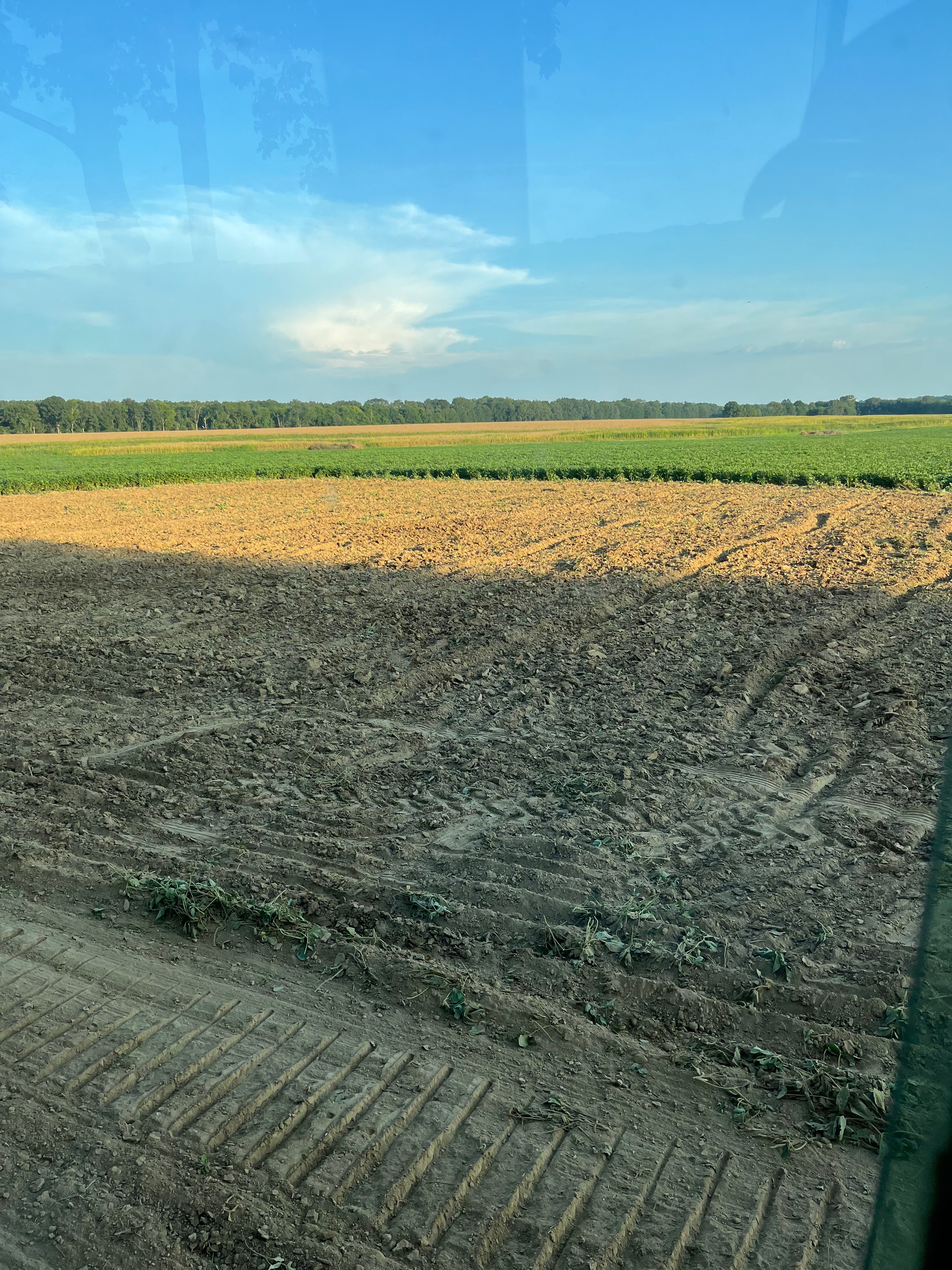 Where Camp Kudzu Begins